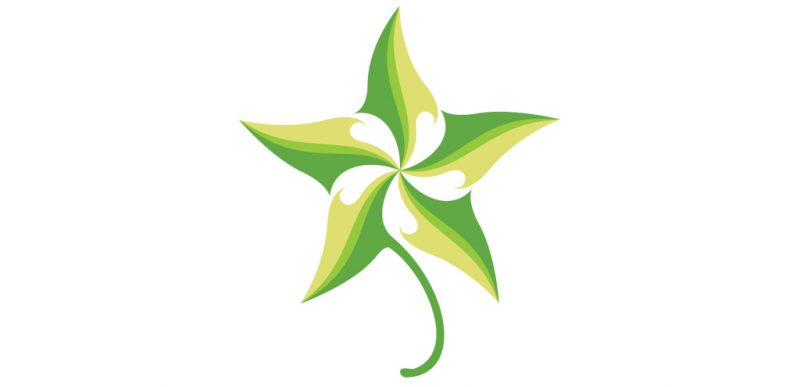 Starleaf_RGB_Large